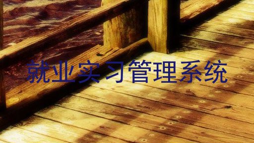 就业实习管理系统