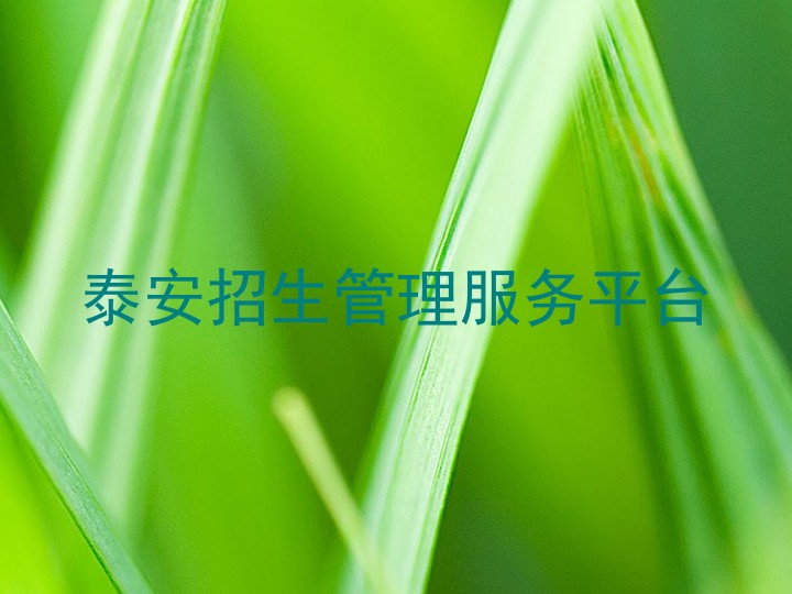 泰安招生管理服务平台