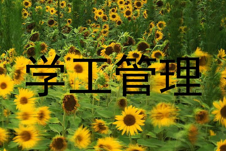 学工管理