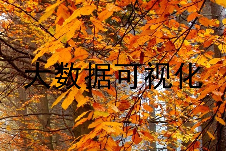 大数据可视化