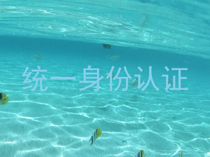 统一身份认证