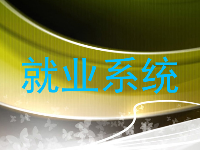 就业系统