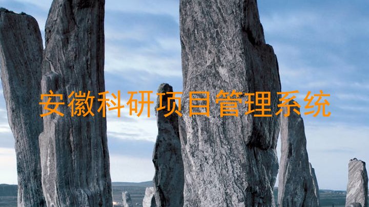 安徽科研项目管理系统