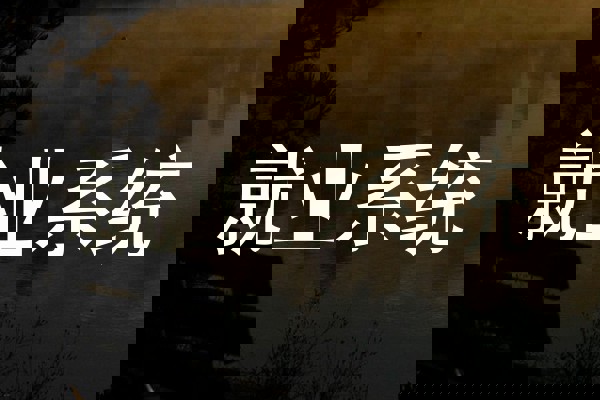 就业系统