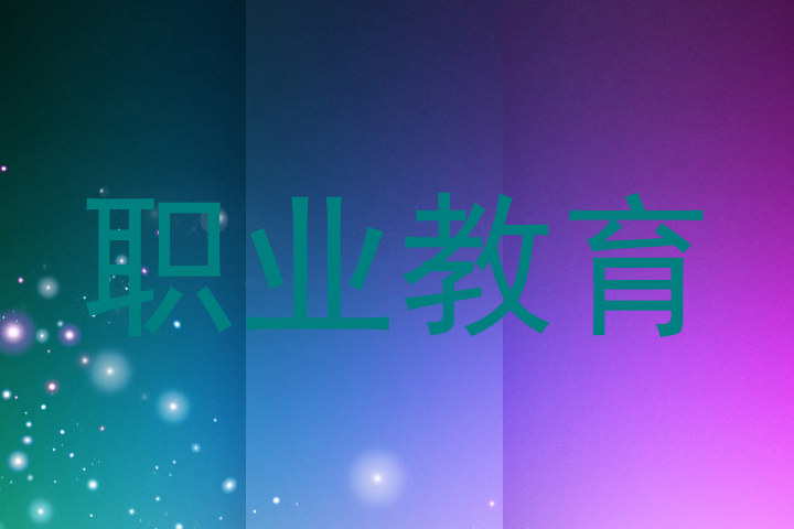 职业教育