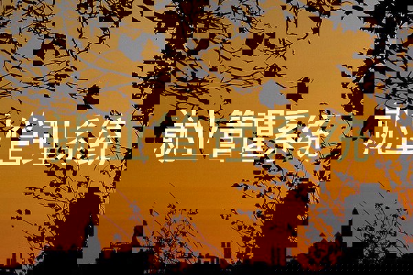 就业管理系统