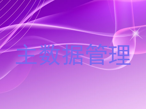 主数据管理