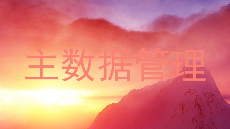 主数据管理