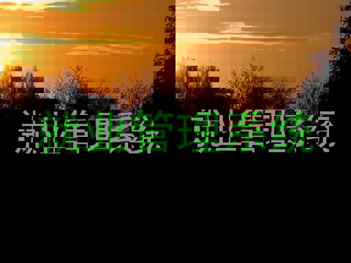 就业管理系统