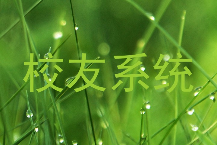 校友系统