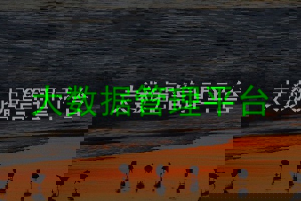 大数据管理平台