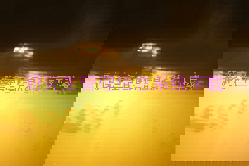 研究生管理信息系统下载