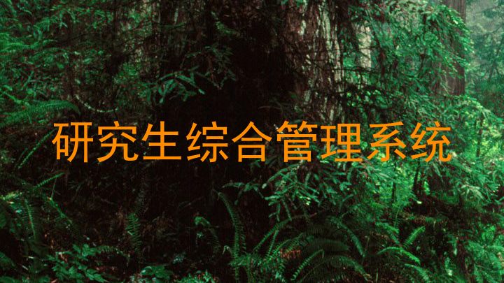 研究生综合管理系统