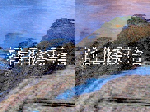 招生服务平台