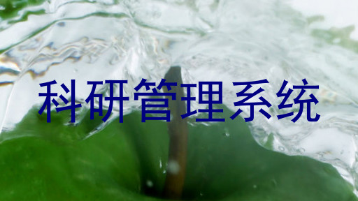 科研管理系统