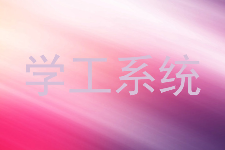 学工系统