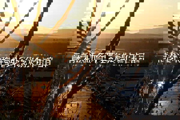 高校科研管理系统操作指南