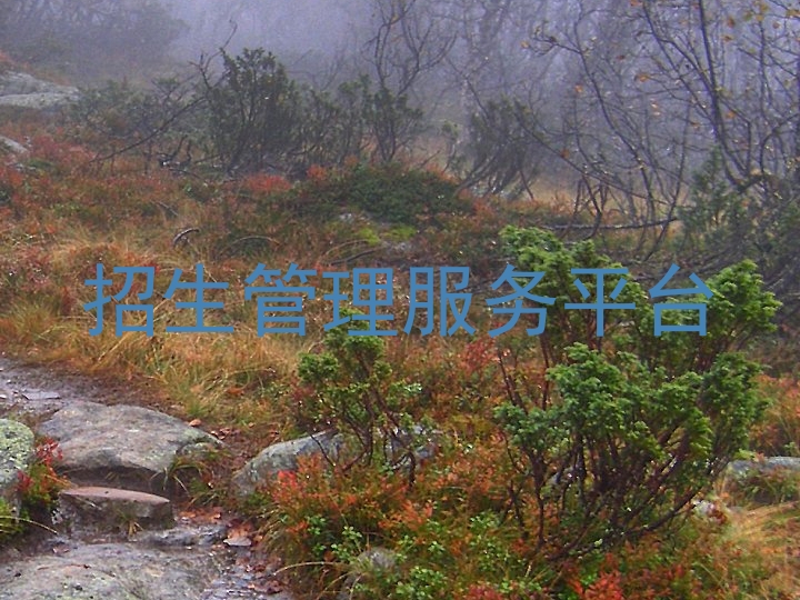 招生管理服务平台