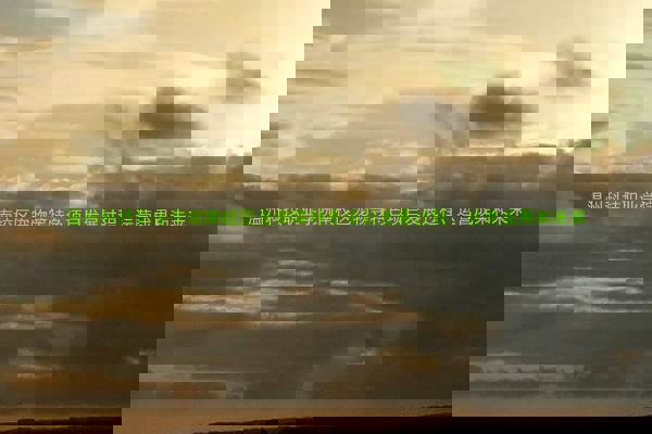 温州科技职业学院南校区宠物等特色项目发展过程、运营成果和未来