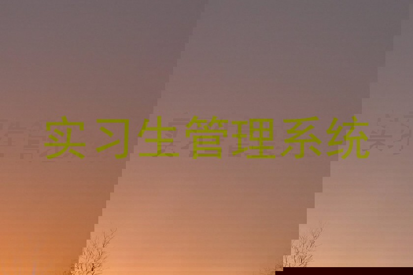 实习生管理系统