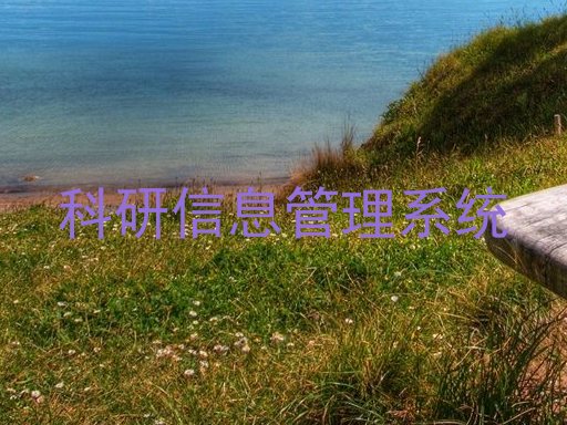 科研信息管理系统