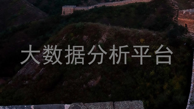 大数据分析平台