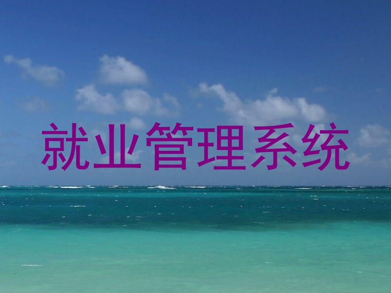 就业管理系统