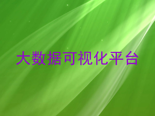 大数据可视化平台