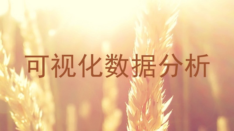 可视化数据分析