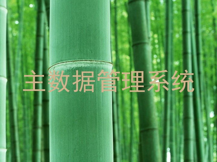 主数据管理系统