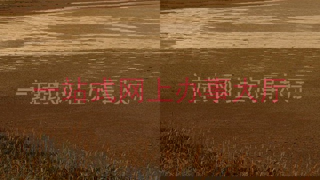 一站式网上办事大厅