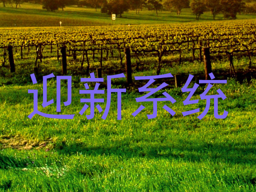 迎新系统