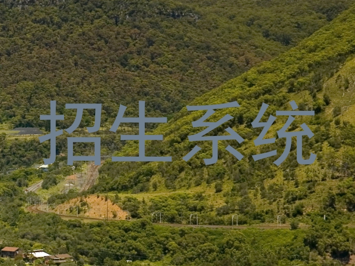 招生系统
