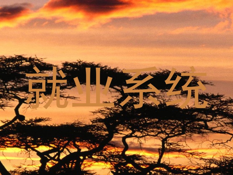 就业系统
