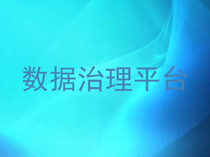 数据治理平台