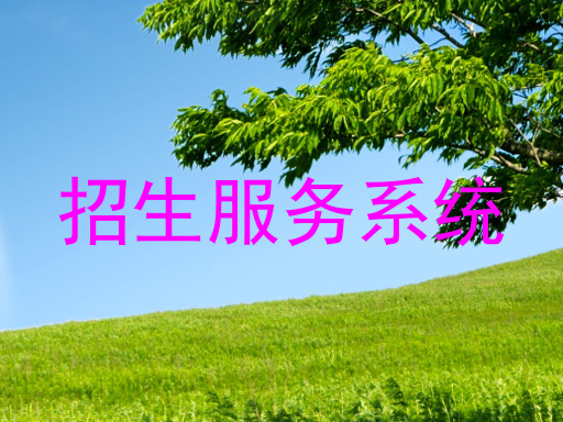 招生服务系统