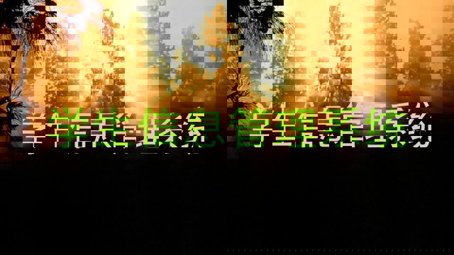 学生信息管理系统