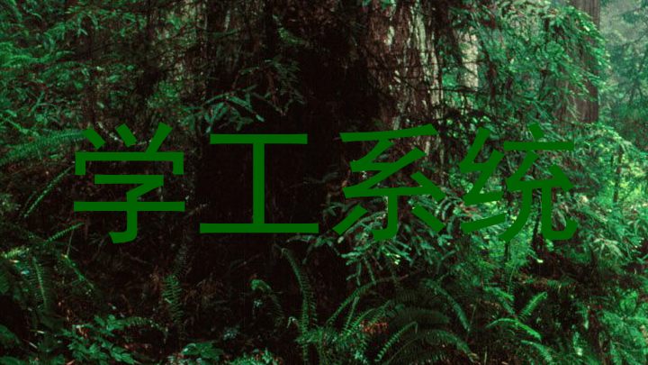 学工系统