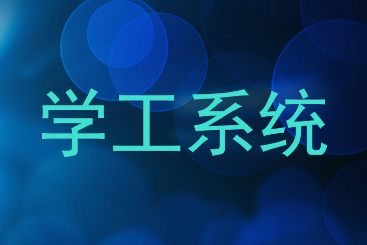 学工系统