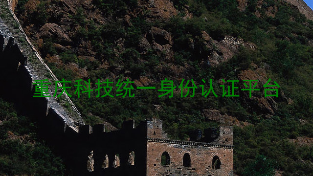 重庆科技统一身份认证平台