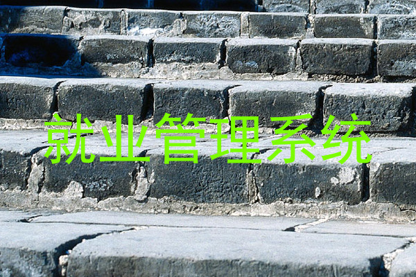 就业管理系统