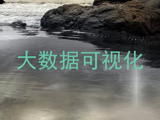 大数据可视化