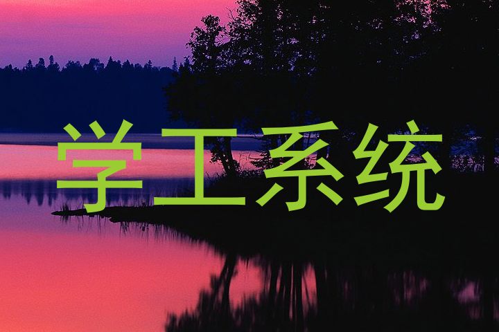 学工系统