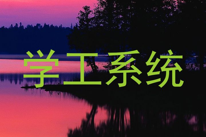 学工系统