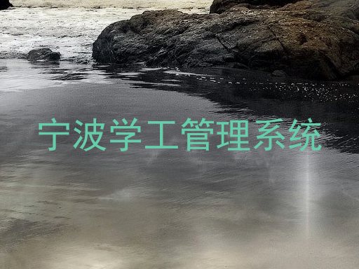 宁波学工管理系统