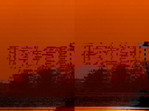 研究生管理