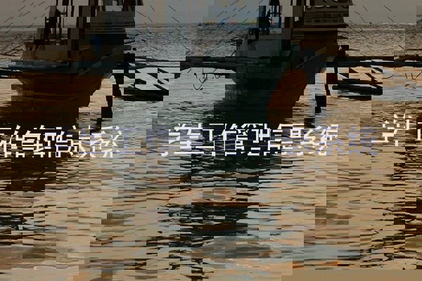 学生工作管理信息系统