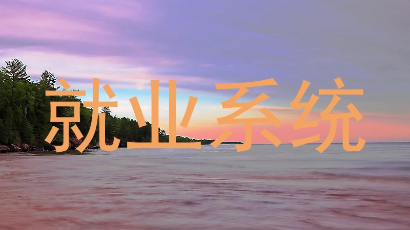 就业系统