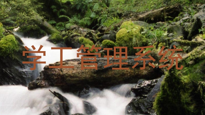 学工管理系统