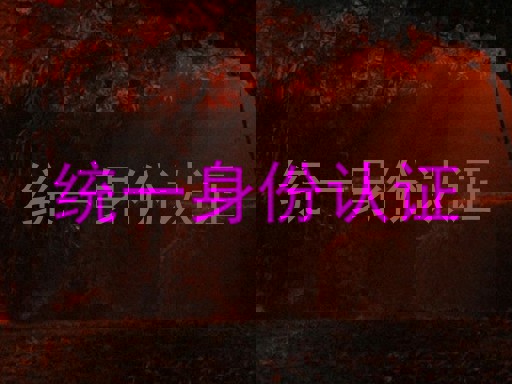 统一身份认证